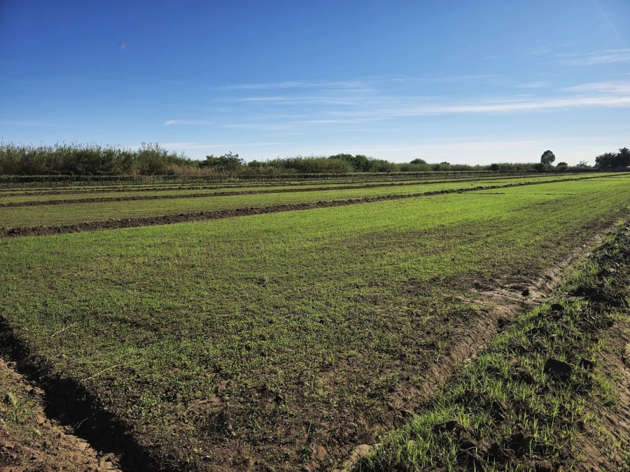 Commercial Property for Sale in Keimoes Rural Northern Cape